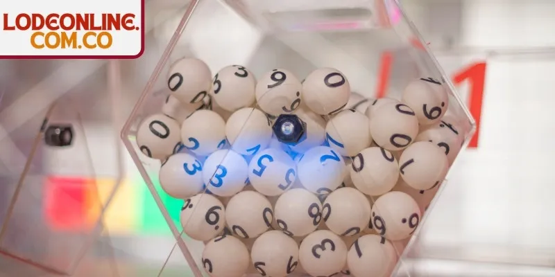 Làm sao để nuôi 4 càng đạt hiệu quả cao nhất?